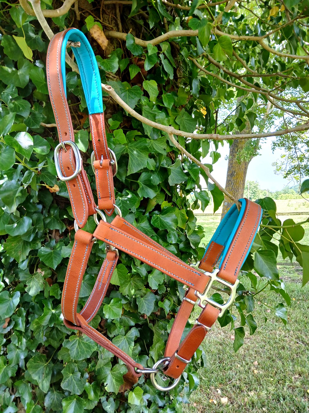 Licol cousu main sur mesure