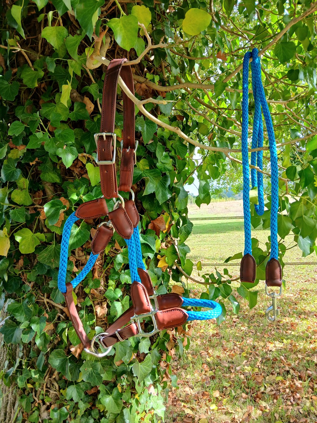 Licol en corde bleue avec embouts cuir et longe assortie