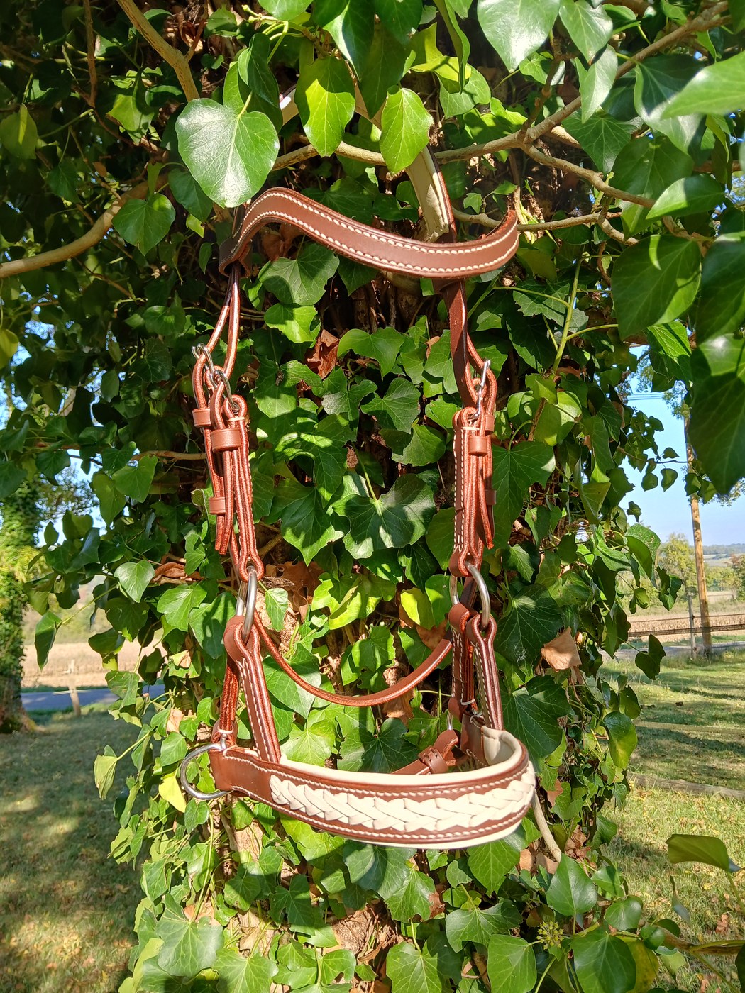Licol beige avec muserolle tressée