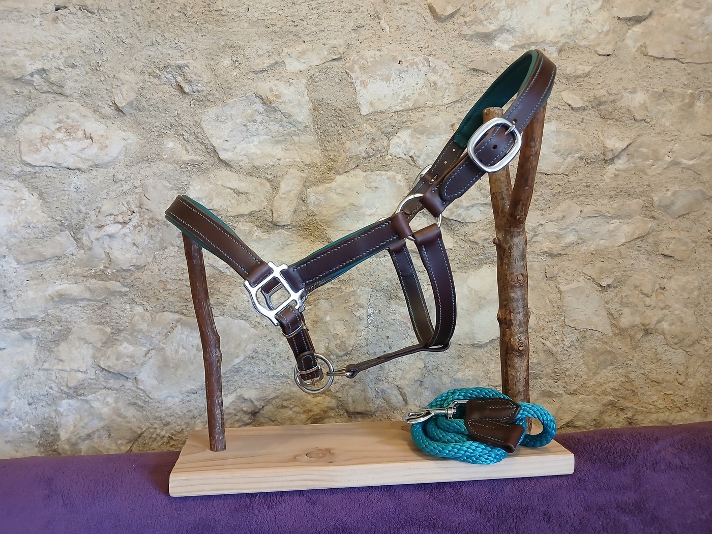 Licol en cuir marron avec passants sarcelle et longe assortie